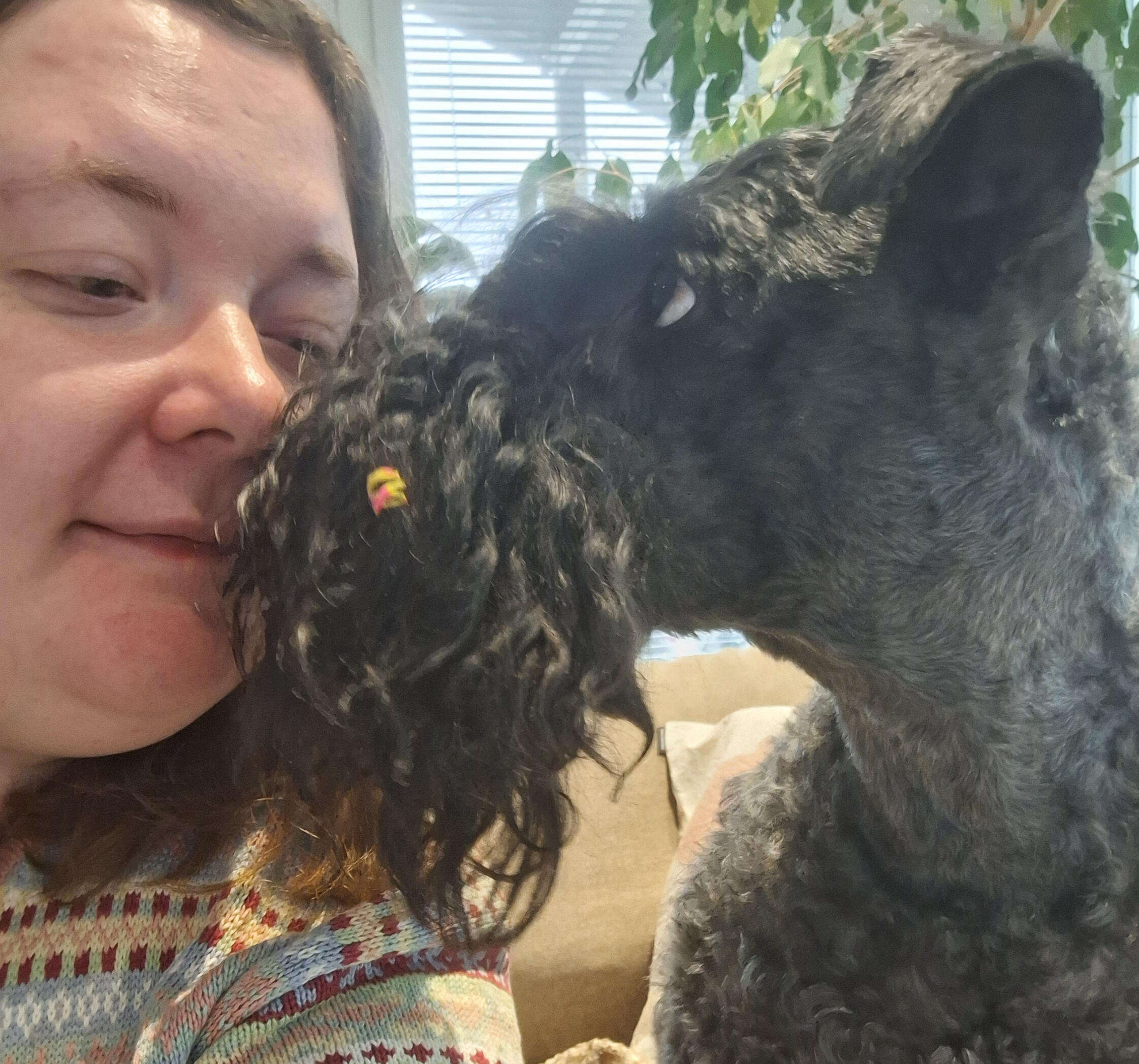 Rakkautta hoitajan ja koiran välillä